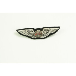AIR ASIA WING PIN
